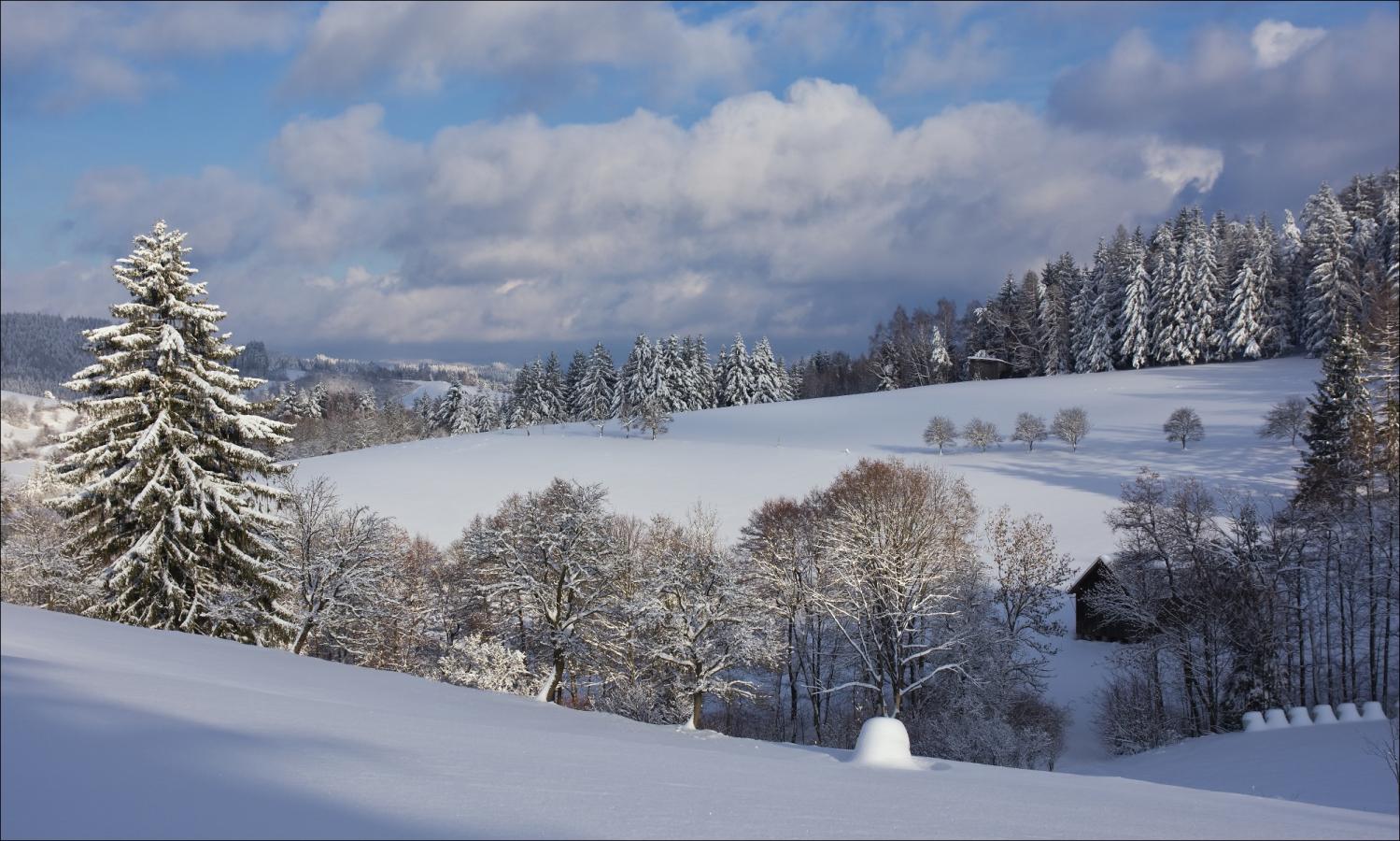 2201_13 Zima na valašsku