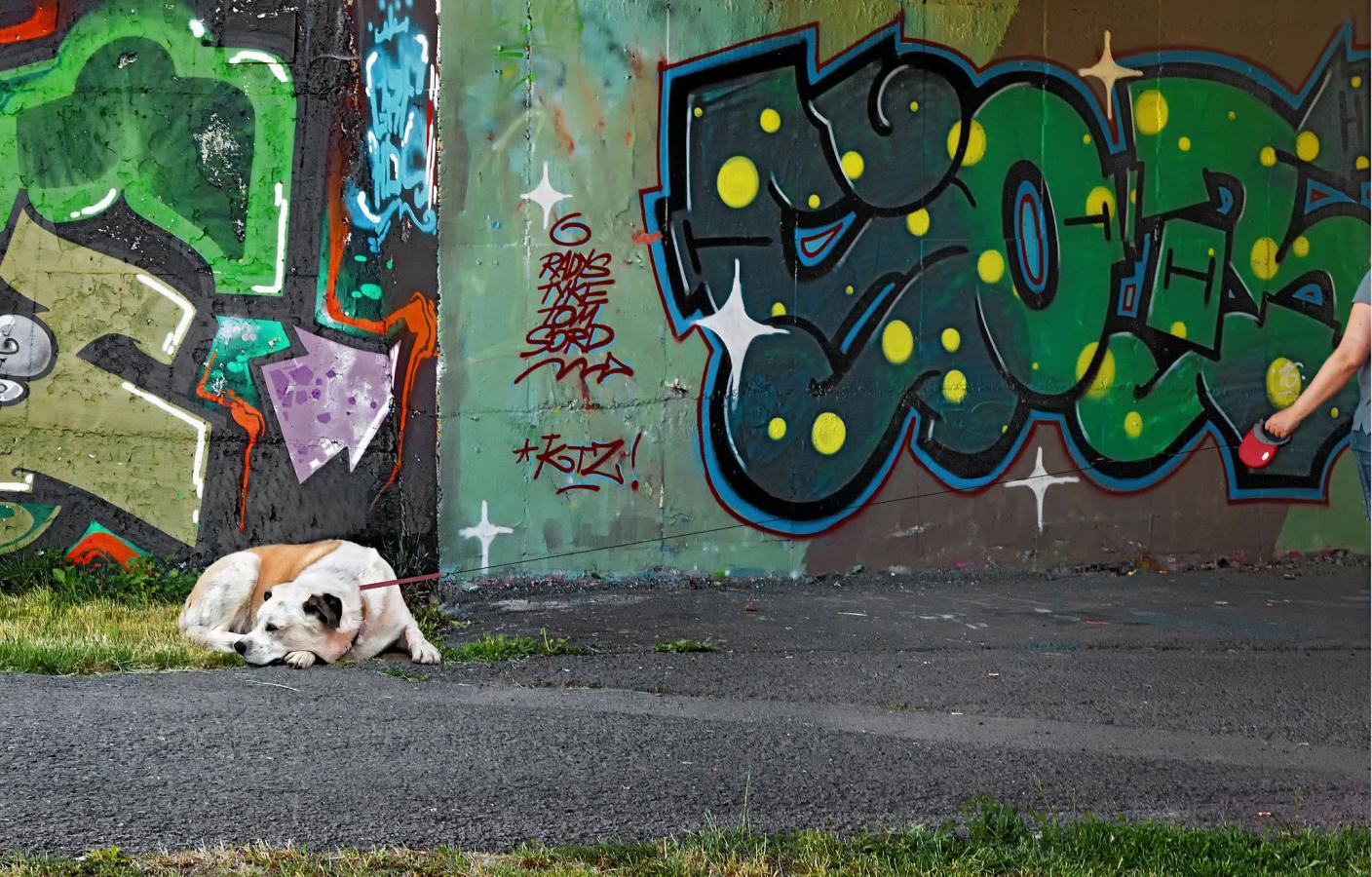 2202_07 Street art 2