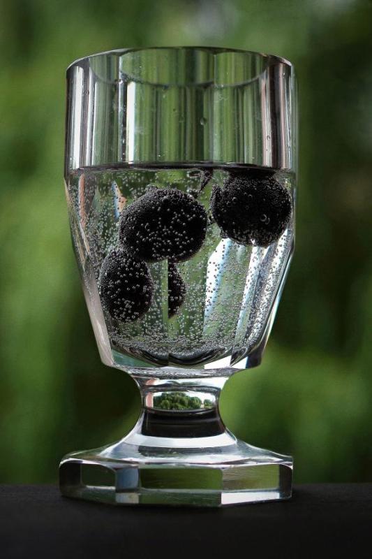 Randysek_FRUIT CUP.